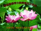 ���ֹ�,�����󷨵��ӹ������編�ִ�����ʦ�𻪵�(20��)
