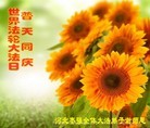 ���ֹ�,�ӱ��󷨵��ӹ������編�ִ�����ʦ�𻪵�(20��)
