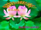 ���ֹ�,�����д󷨵��ӹ������編�ִ�����ʦ�𻪵�(22��)
