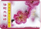 ���ֹ�,�żҿڴ󷨵��ӹ������編�ִ�����ʦ�𻪵�(27��)
