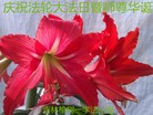 ���ֹ�,�����󷨵��ӹ������編�ִ�����ʦ�𻪵�(25��)
