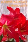 ���ֹ�,�����󷨵��ӹ������編�ִ�����ʦ�𻪵�(25��)
