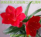 ���ֹ�,�����󷨵��ӹ������編�ִ�����ʦ�𻪵�(25��)
