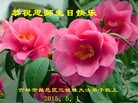 ���ֹ�,�����д󷨵��ӹ������編�ִ�����ʦ�𻪵�(22��)
