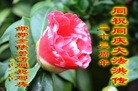 ���ֹ�,�ӱ��󷨵��ӹ������編�ִ�����ʦ�𻪵�(25��)
