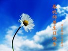 ���ֹ�,�ȷ��󷨵��ӹ������編�ִ�����ʦ�𻪵�(25��)
