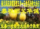 ���ֹ�,�����󷨵��ӹ������編�ִ�����ʦ�𻪵�(23��)
