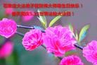 ���ֹ�,ʯ��ׯ�󷨵��ӹ������編�ִ�����ʦ�𻪵�(21��)
