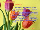 ���ֹ�,�������󷨵��ӹ������編�ִ�����ʦ�𻪵�(40��)
