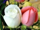 ���ֹ�,�������󷨵��ӹ������編�ִ�����ʦ�𻪵�(24��)

