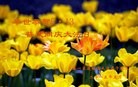 ���ֹ�,�����󷨵��ӹ������編�ִ�����ʦ�𻪵�(23��)
