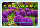 ���ֹ�,�������󷨵��ӹ������編�ִ�����ʦ�𻪵�(23��)
