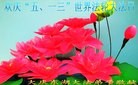���ֹ�,����󷨵��ӹ������編�ִ�����ʦ�𻪵�(19��)
