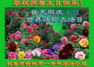 ���ֹ�,�����󷨵��ӹ������編�ִ�����ʦ�𻪵�(23��)
