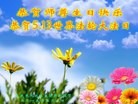���ֹ�,����󷨵��ӹ������編�ִ�����ʦ�𻪵�(19��)

