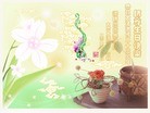 ���ֹ�,����󷨵��ӹ������編�ִ�����ʦ�𻪵�(24��)
