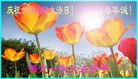 ���ֹ�,�����󷨵��ӹ������編�ִ�����ʦ�𻪵�(25��)
