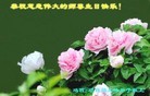 ���ֹ�,�������󷨵��ӹ������編�ִ�����ʦ�𻪵�(40��)
