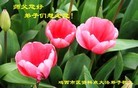 ���ֹ�,�������󷨵��ӹ������編�ִ�����ʦ�𻪵�(40��)
