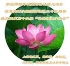 ���ֹ�,�Ϻ��󷨵��ӹ������編�ִ�����ʦ�𻪵�(29��)
