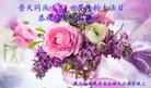 ���ֹ�,�������󷨵��ӹ������編�ִ�����ʦ�𻪵�(24��)
