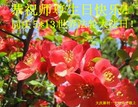 ���ֹ�,����󷨵��ӹ������編�ִ�����ʦ�𻪵�(24��)
