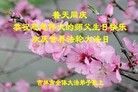 ���ֹ�,�����д󷨵��ӹ������編�ִ�����ʦ�𻪵�(24��)
