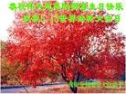 ���ֹ�,�����󷨵��ӹ������編�ִ�����ʦ�𻪵�(27��)
