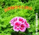 ���ֹ�,�����󷨵��ӹ������編�ִ�����ʦ�𻪵�(27��)
