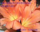 ���ֹ�,ʯ��ׯ�󷨵��ӹ������編�ִ�����ʦ�𻪵�(24��)

