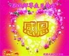���ֹ�,����ʡ�󷨵��ӹ������編�ִ�����ʦ�𻪵�(26��)
