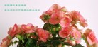 ���ֹ�,����ʡ�󷨵��ӹ������編�ִ�����ʦ�𻪵�(26��)
