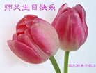 ���ֹ�,��ľ˹�󷨵��ӹ������編�ִ�����ʦ�𻪵�(18��)
