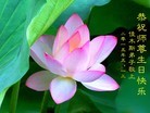 ���ֹ�,��ľ˹�󷨵��ӹ������編�ִ�����ʦ�𻪵�(18��)
