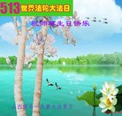 ���ֹ�,ɽ���󷨵��ӹ������編�ִ�����ʦ�𻪵�(26��)
