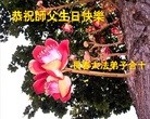 ���ֹ�,�����󷨵��ӹ������編�ִ�����ʦ�𻪵�(20��)
