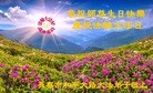 ���ֹ�,�����󷨵��ӹ������編�ִ�����ʦ�𻪵�(20��)
