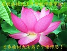 ���ֹ�,�����󷨵��ӹ������編�ִ�����ʦ�𻪵�(20��)

