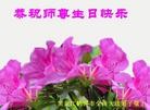 ���ֹ�,�������󷨵��ӹ������編�ִ�����ʦ�𻪵�(19��)
