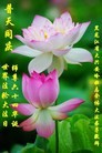 ���ֹ�,�������󷨵��ӹ������編�ִ�����ʦ�𻪵�(21��)
