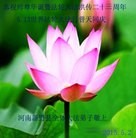 ���ֹ�,���ϴ󷨵��ӹ������編�ִ�����ʦ�𻪵�(26��)
