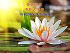 ���ֹ�,�����󷨵��ӹ������編�ִ�����ʦ�𻪵�(24��)
