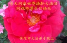 ���ֹ�,�����󷨵��ӹ������編�ִ�����ʦ�𻪵�(24��)
