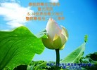 ���ֹ�,�������󷨵��ӹ������編�ִ�����ʦ�𻪵�(21��)
