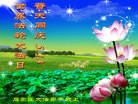 ���ֹ�,ʯ��ׯ�󷨵��ӹ������編�ִ�����ʦ�𻪵�(23��)
