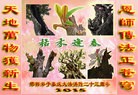 ���ֹ�,�ӱ��󷨵��ӹ������編�ִ�����ʦ�𻪵�(25��)
