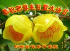 ���ֹ�,�ӱ��󷨵��ӹ������編�ִ�����ʦ�𻪵�(25��)
