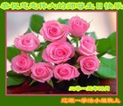 ���ֹ�,����ʡ�󷨵��ӹ������編�ִ�����ʦ�𻪵�(19��)
