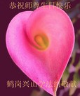 ���ֹ�,�������󷨵��ӹ������編�ִ�����ʦ�𻪵�(24��)
