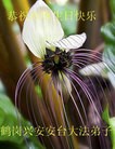 ���ֹ�,�������󷨵��ӹ������編�ִ�����ʦ�𻪵�(24��)
